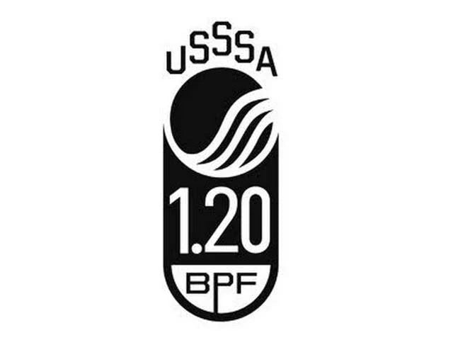 Fastpitch Softball Bat -10 31in Q751