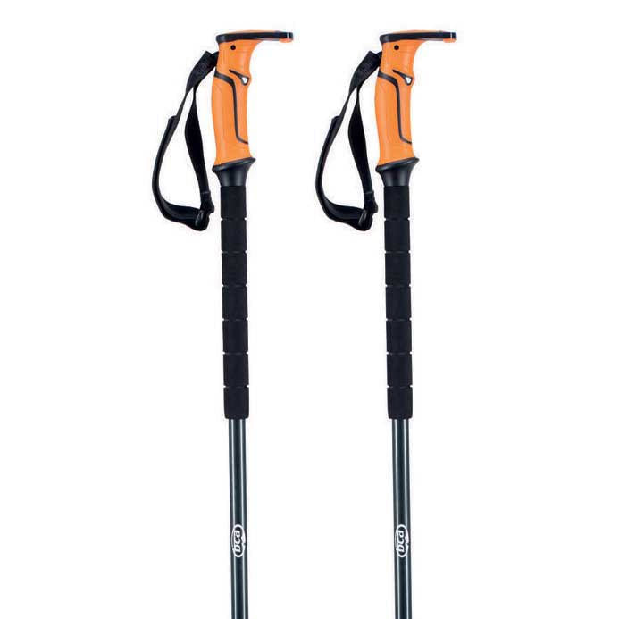 Aluminum Ski Poles C2687