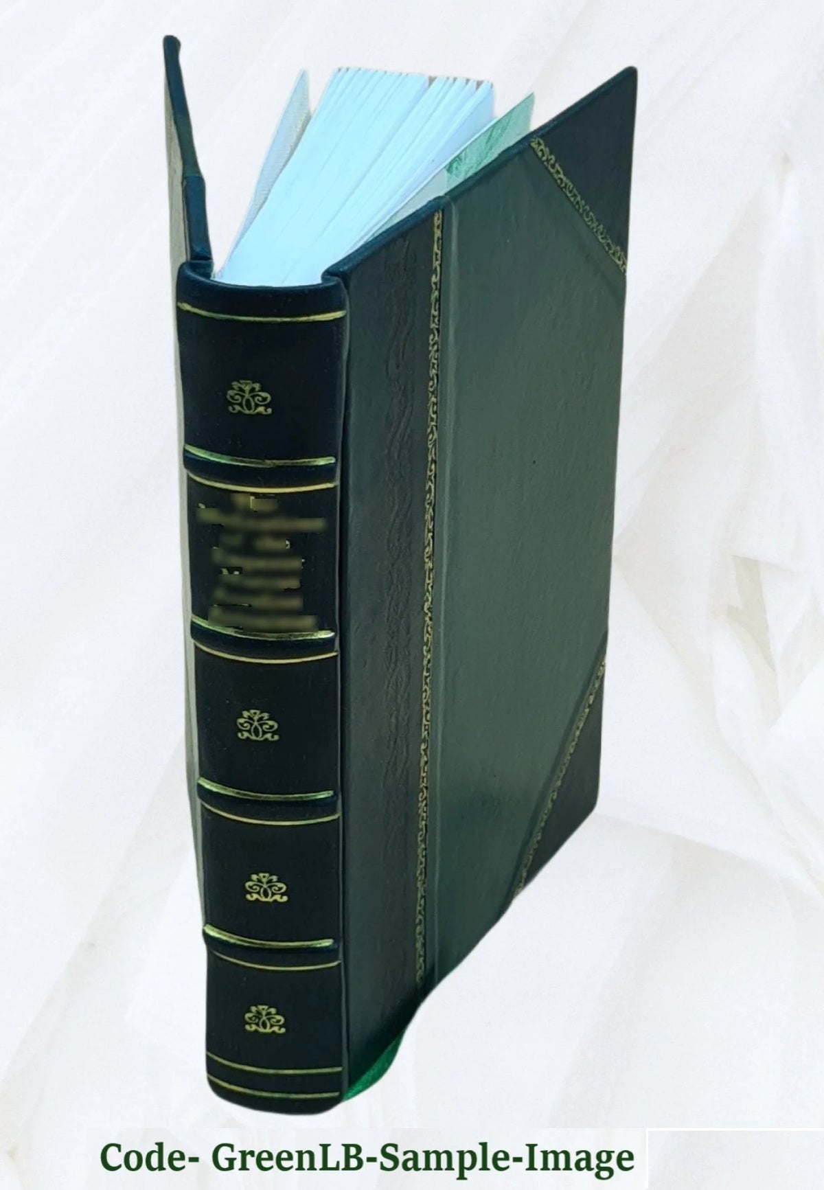 Motor boat boys' river chase; or, Six chums afloat and ashore M613