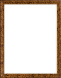 Museum Frame Y831