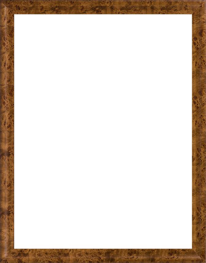 Museum Frame Y831