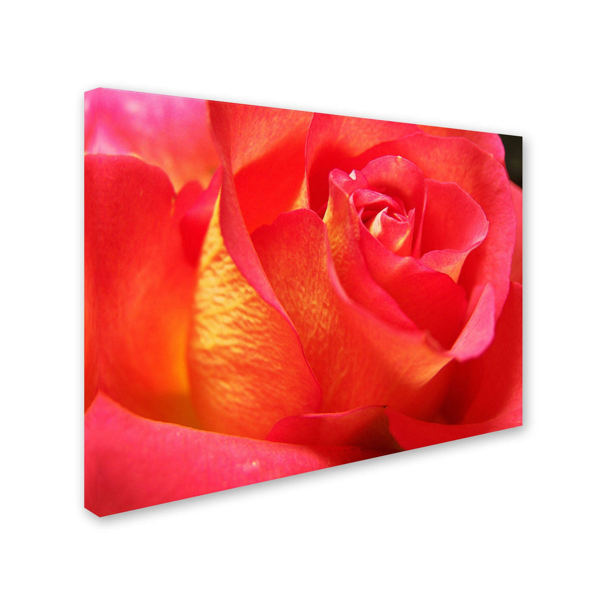 Canvas Art Q2589