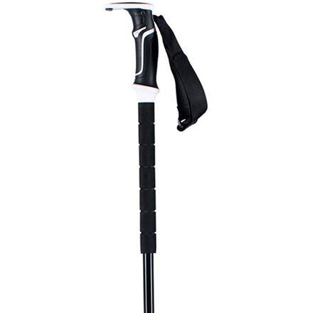 Aluminum Ski Poles C2687