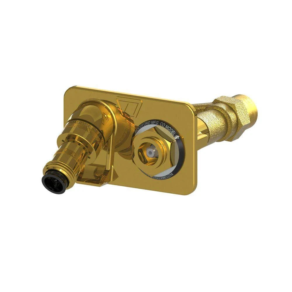 Polished Brass Freezeless Backflow Preventer Wall Hydrant C229