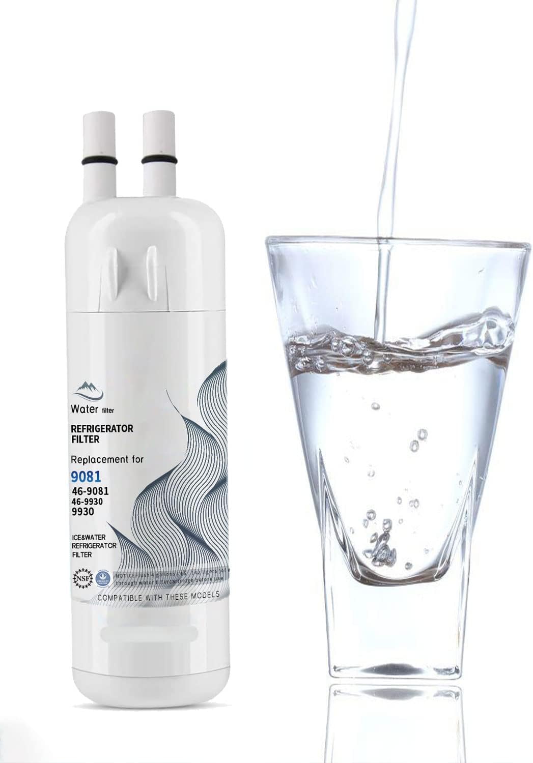 2 Pack Water Filter Replacement G47907