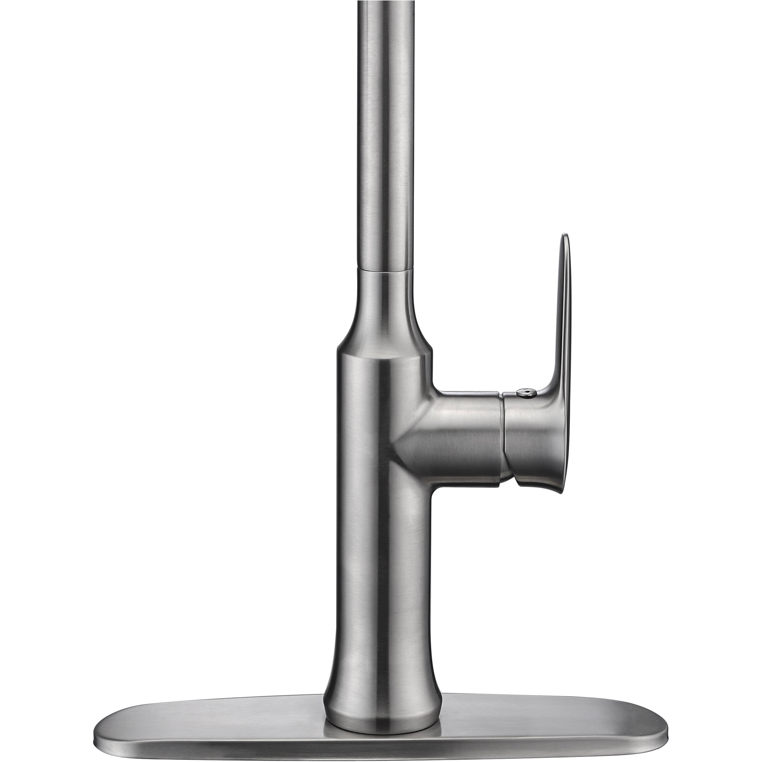 Brushed Nickel Single Handle Pull-Down Kitchen Faucet A595390