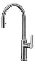 Brushed Nickel Single Handle Pull-Down Kitchen Faucet A595390
