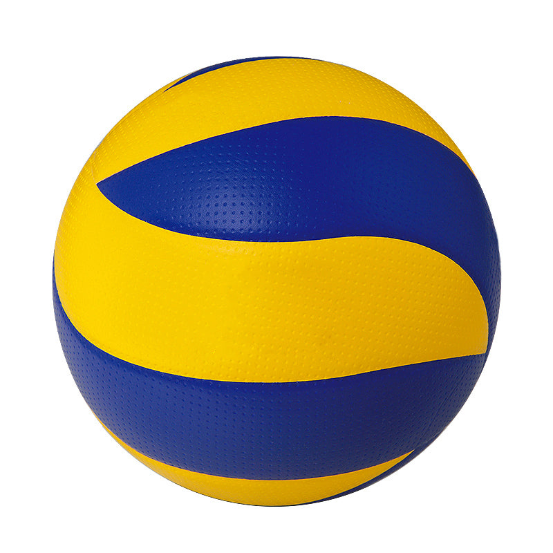 Beach Volleyball S669019