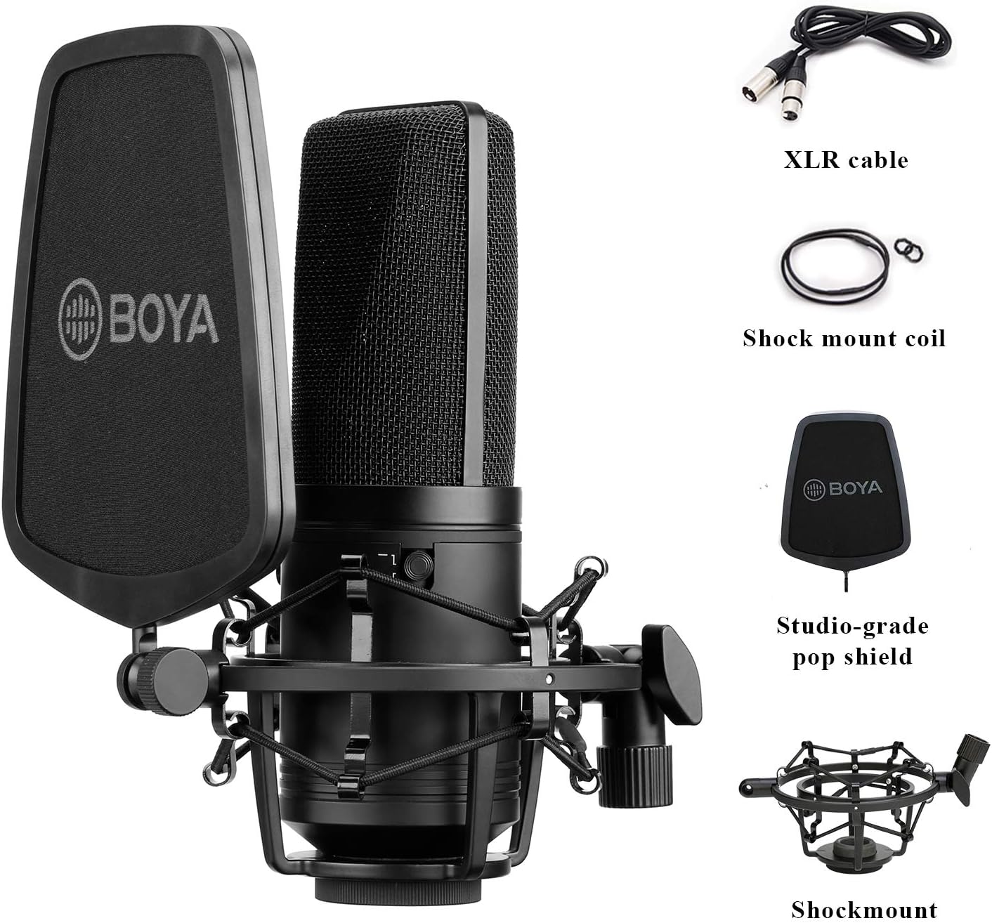 Large Diaphragm Multi-Pattern Studio Condenser Microphone with Shock Mount, Pop Filter, and XLR Cable M89248