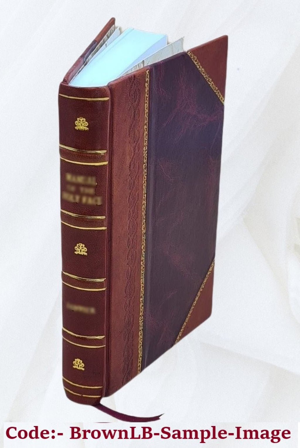 Motor boat boys' river chase; or, Six chums afloat and ashore M613
