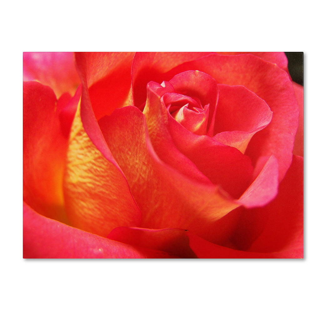 Canvas Art Q2589