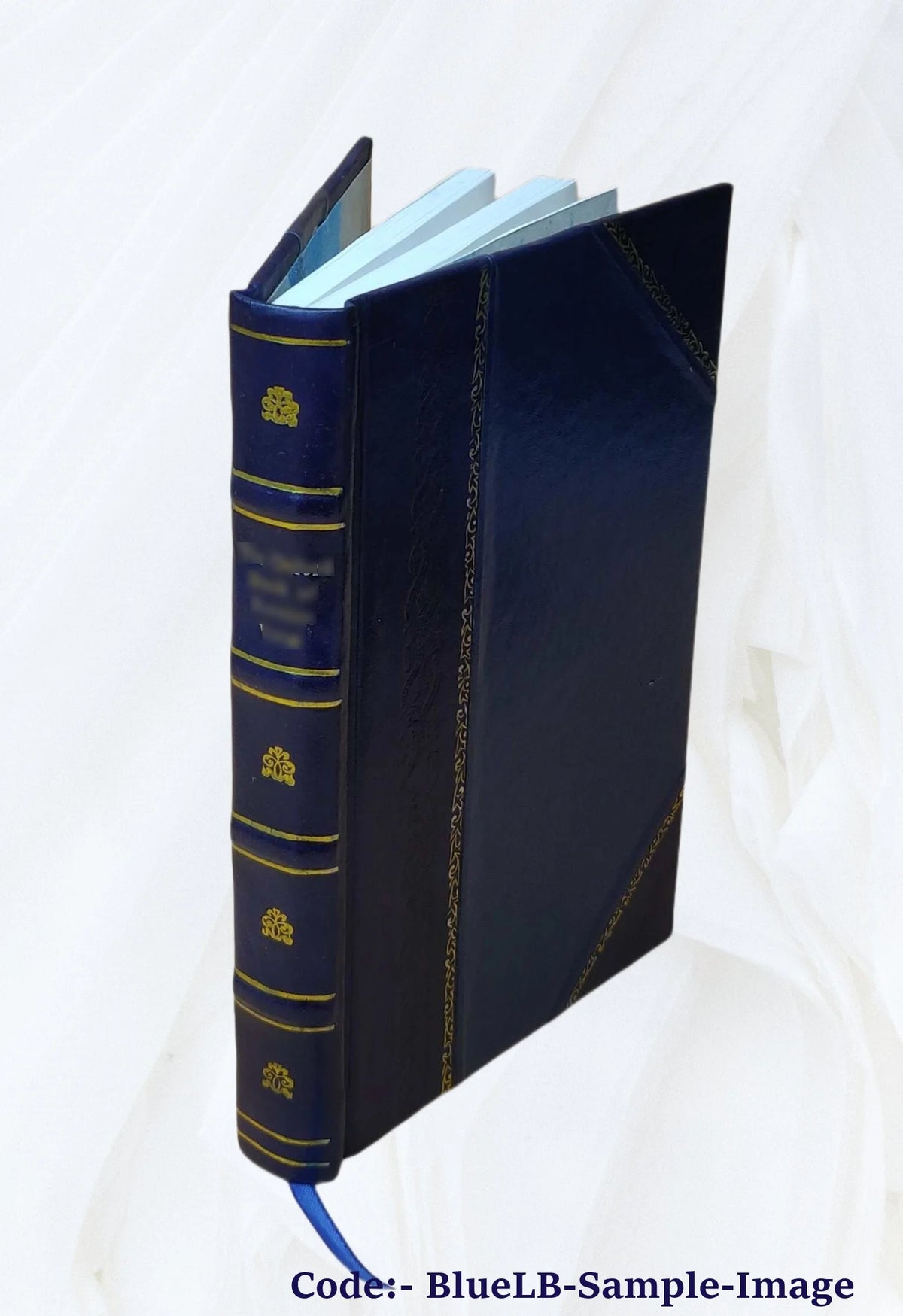 Automatic Writing 1922 [Leather Bound] I329