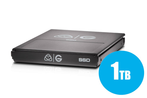 1 TB Removable SSD L409
