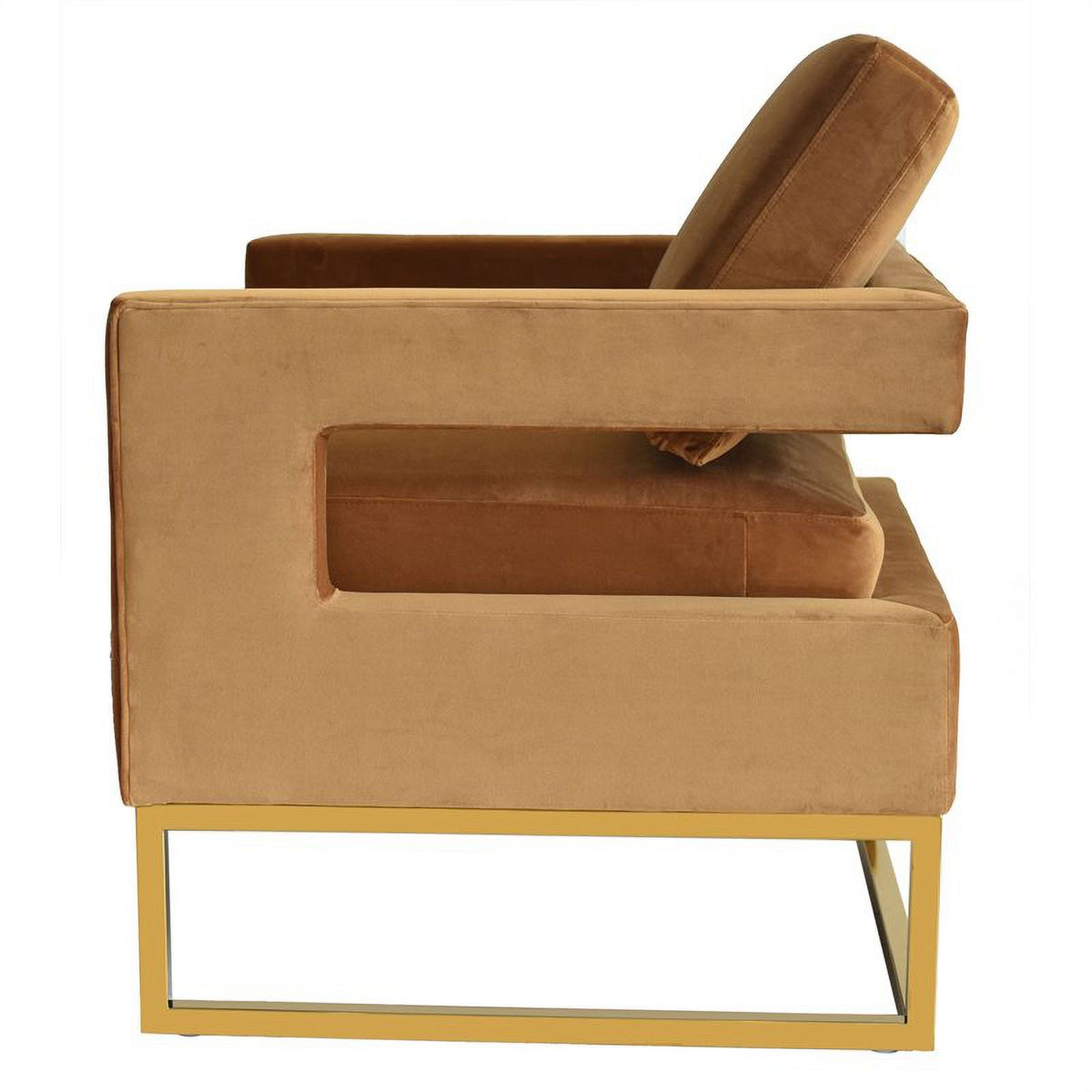 Velvet & Stainless Steel Accent Chair T71362