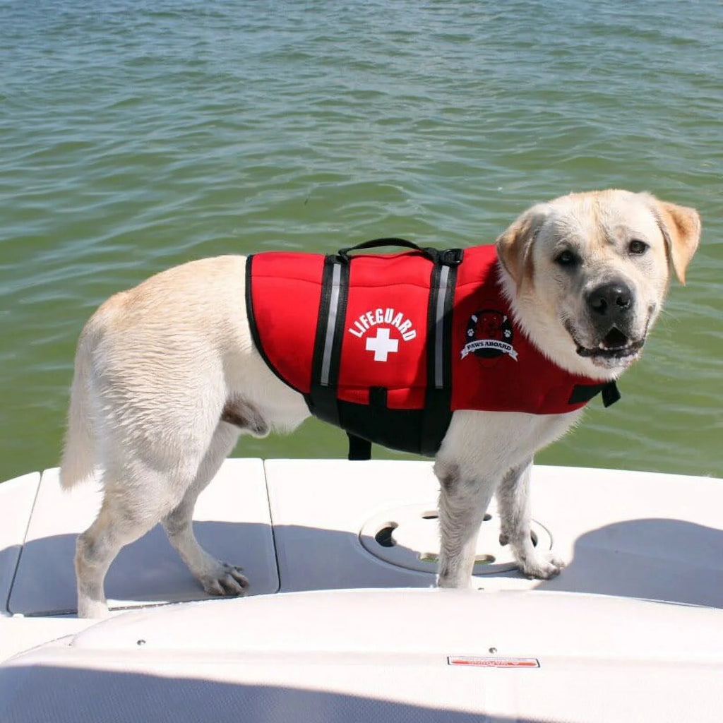 Red X-Small Neoprene Dog Life Jacket N2474