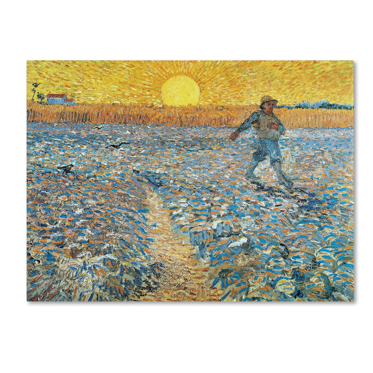 Canvas Art C152