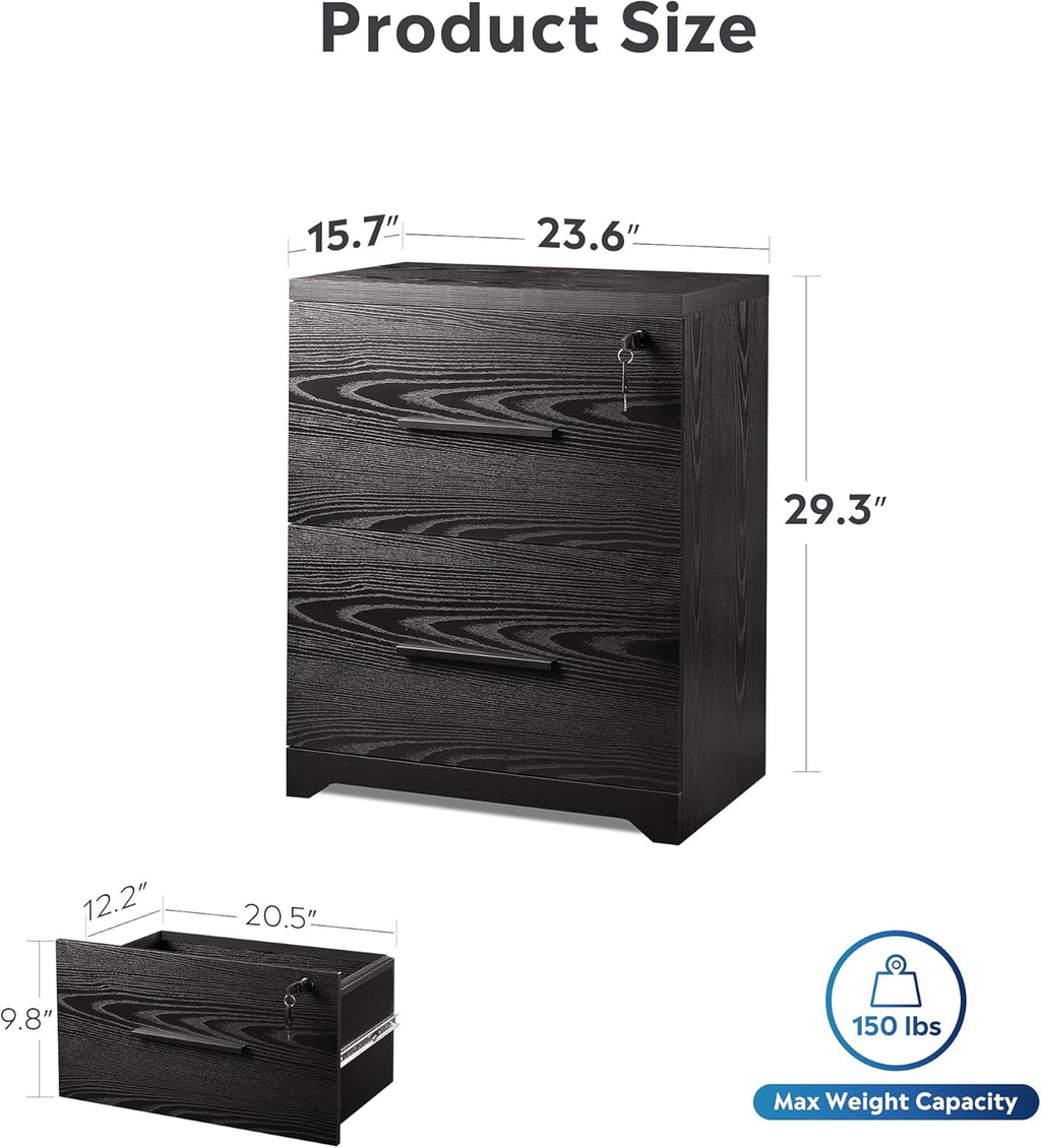 Black 2-Drawer Wood Lateral File Cabinet with Lock D2747