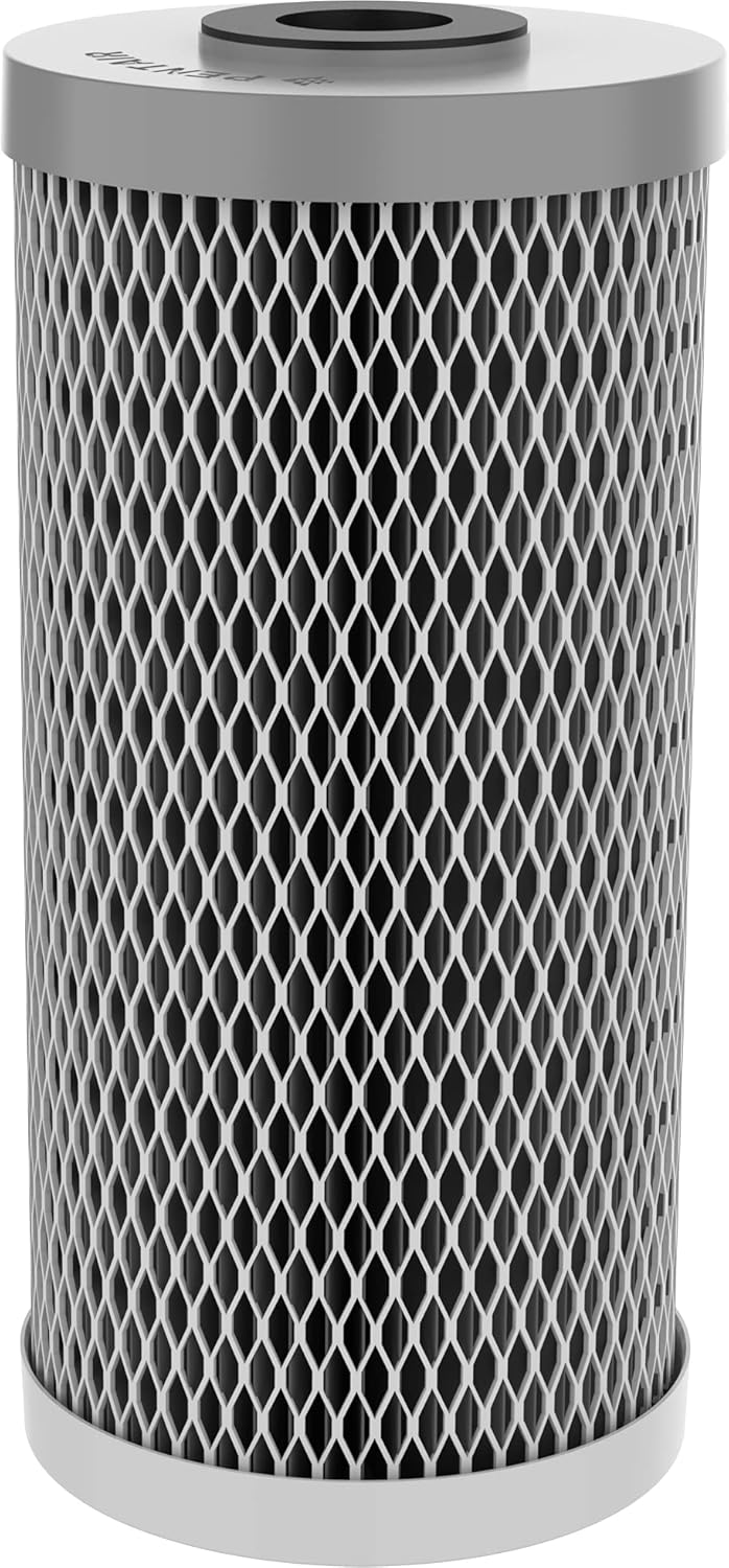 20-Inch Carbon Water Filter Cartridge, 10 Micron, Pack of 2 Z338749