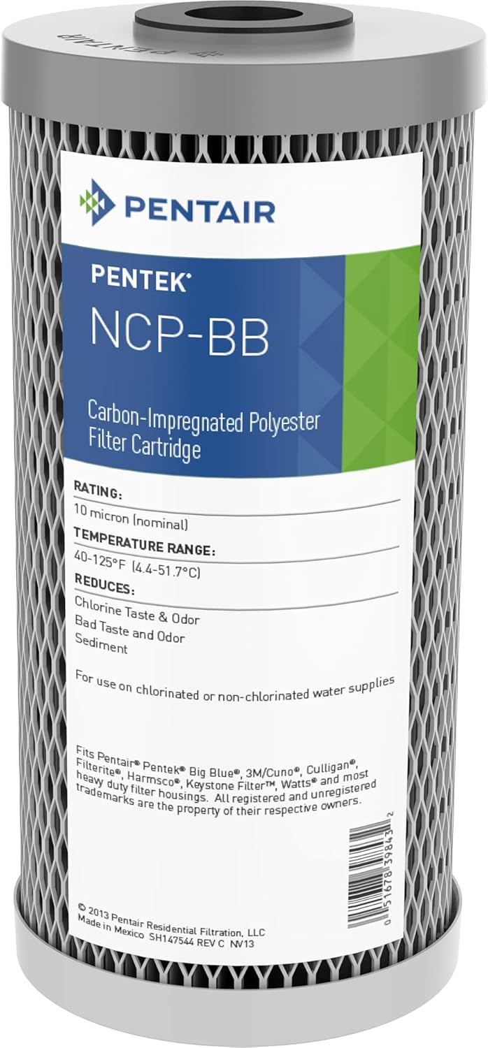 20-Inch Carbon Water Filter Cartridge, 10 Micron, Pack of 2 Z338749