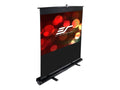 Projection Screen J3355
