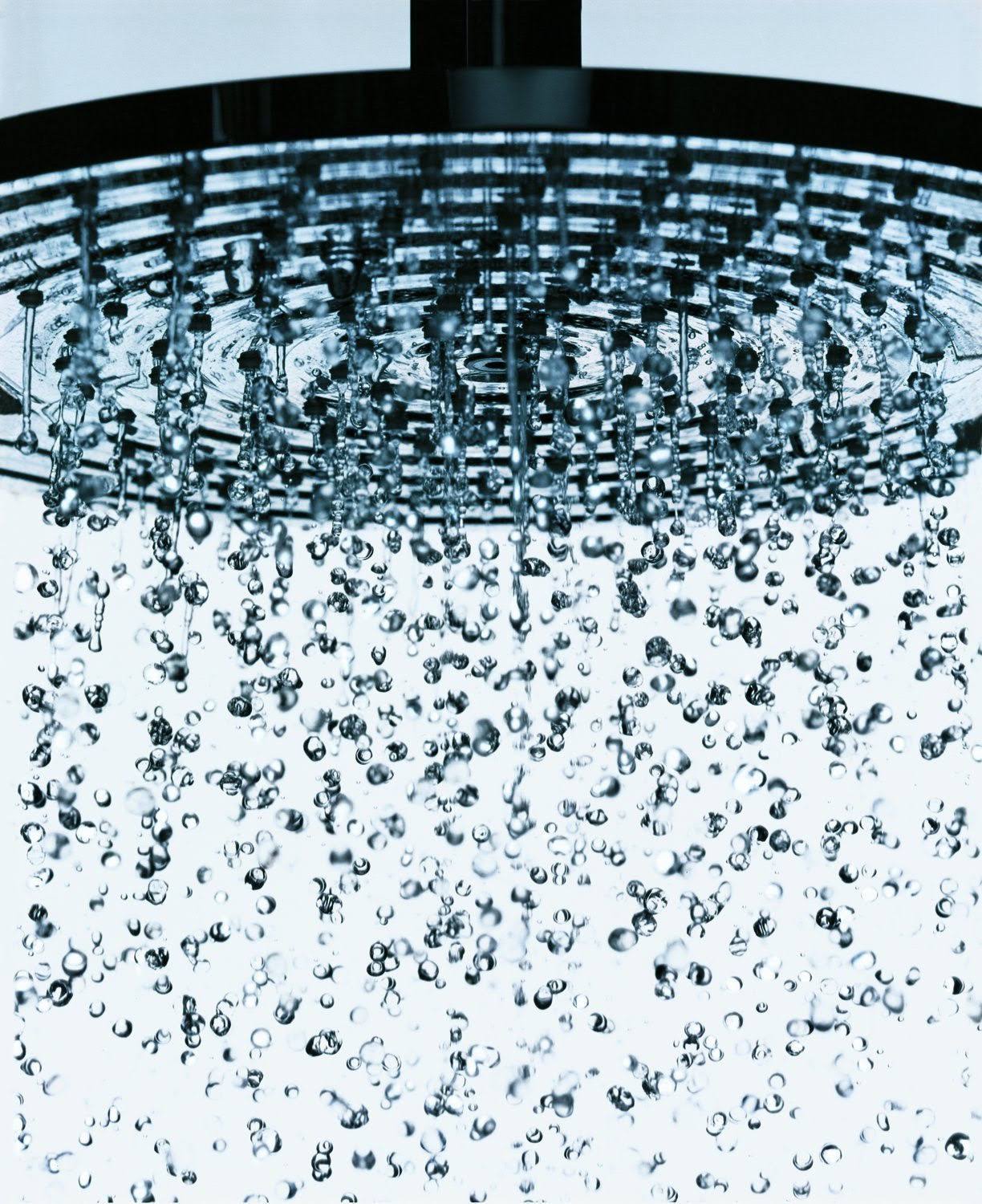 Brushed Nickel Showerhead N705081