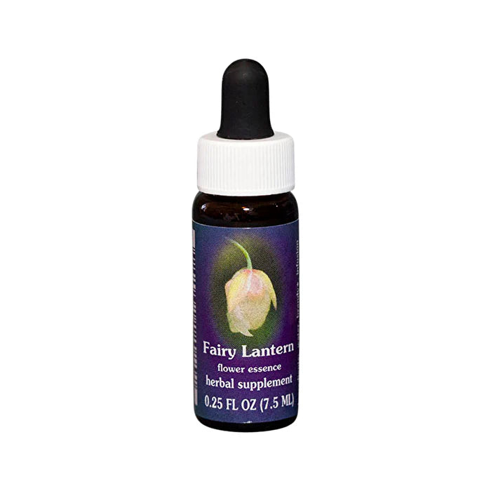 Fairy Lantern 7.5ml Flower Essences Y20131