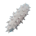 Animal Shape Massage Toy U952