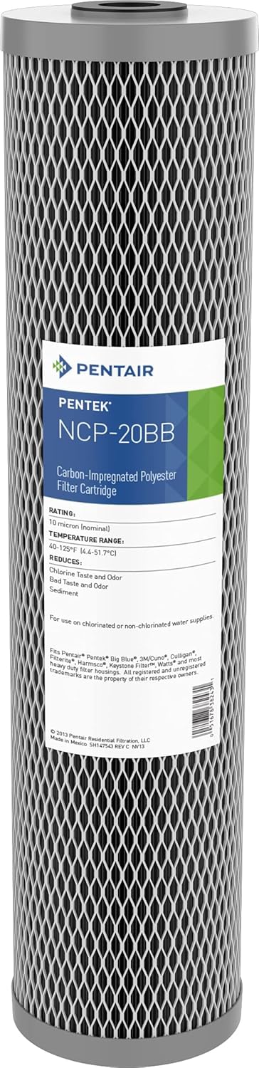 20-Inch Carbon Water Filter Cartridge, 10 Micron, Pack of 2 Z338749