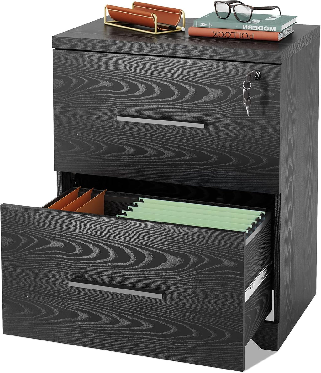 Black 2-Drawer Wood Lateral File Cabinet with Lock D2747