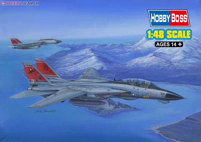 1/48 F-14D Tomcat O57655