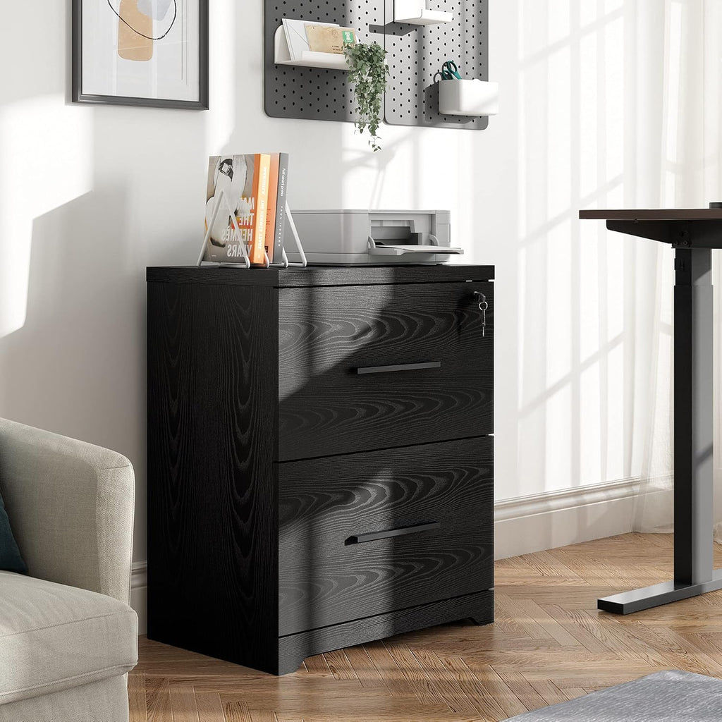 Black 2-Drawer Wood Lateral File Cabinet with Lock D2747