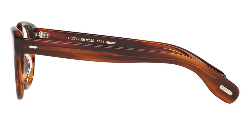 Glasses Z786