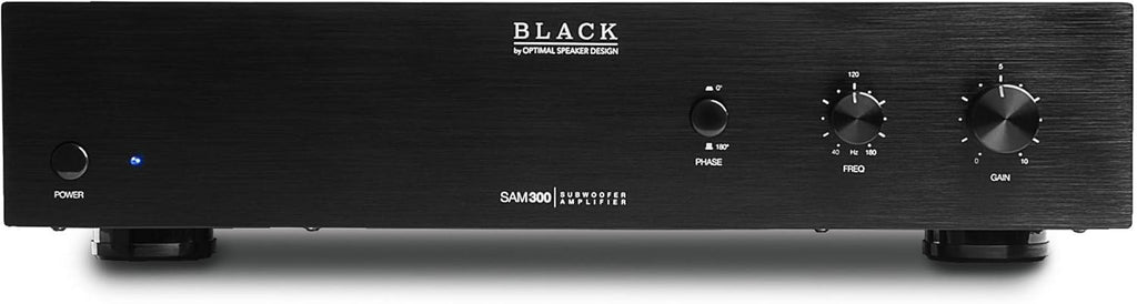200W Max Digital Subwoofer Amplifier N89558