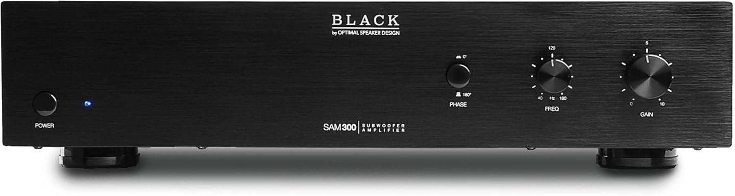 200W Max Digital Subwoofer Amplifier N89558
