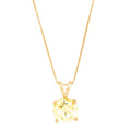 14k Yellow Gold Pendant with 16" Chain N494